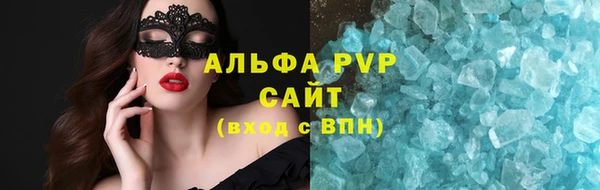 сатива Беломорск
