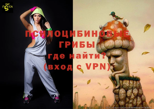 сатива Беломорск