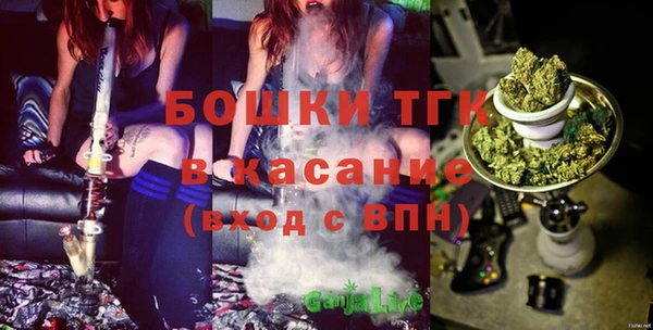 сатива Беломорск