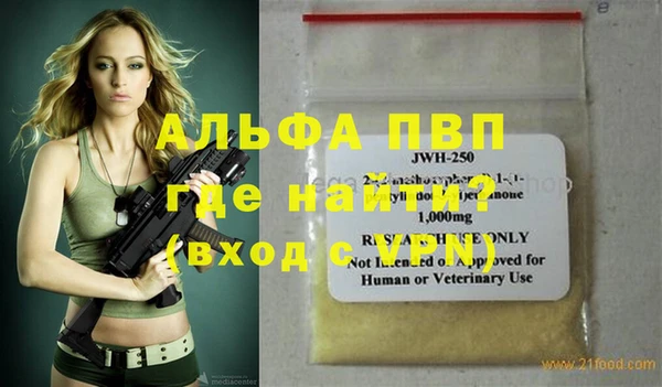 сатива Беломорск