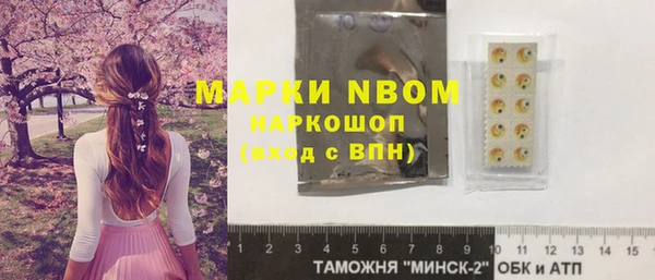 сатива Беломорск
