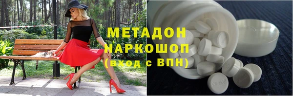 сатива Беломорск