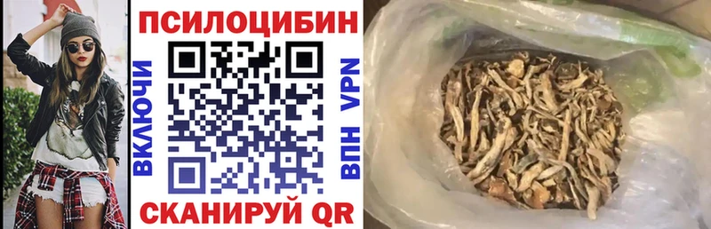 Псилоцибиновые грибы мицелий  Павловск 